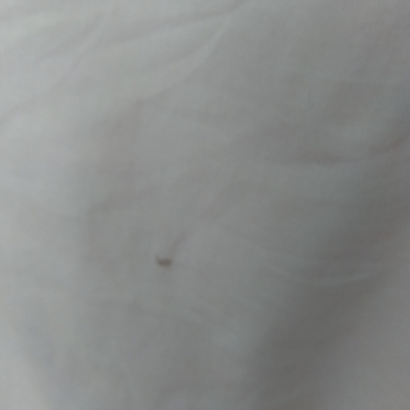 J Crew Ruffled top Size 2 - Picture 3 of 5